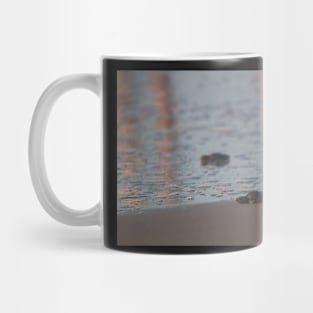 Hatchling III Mug